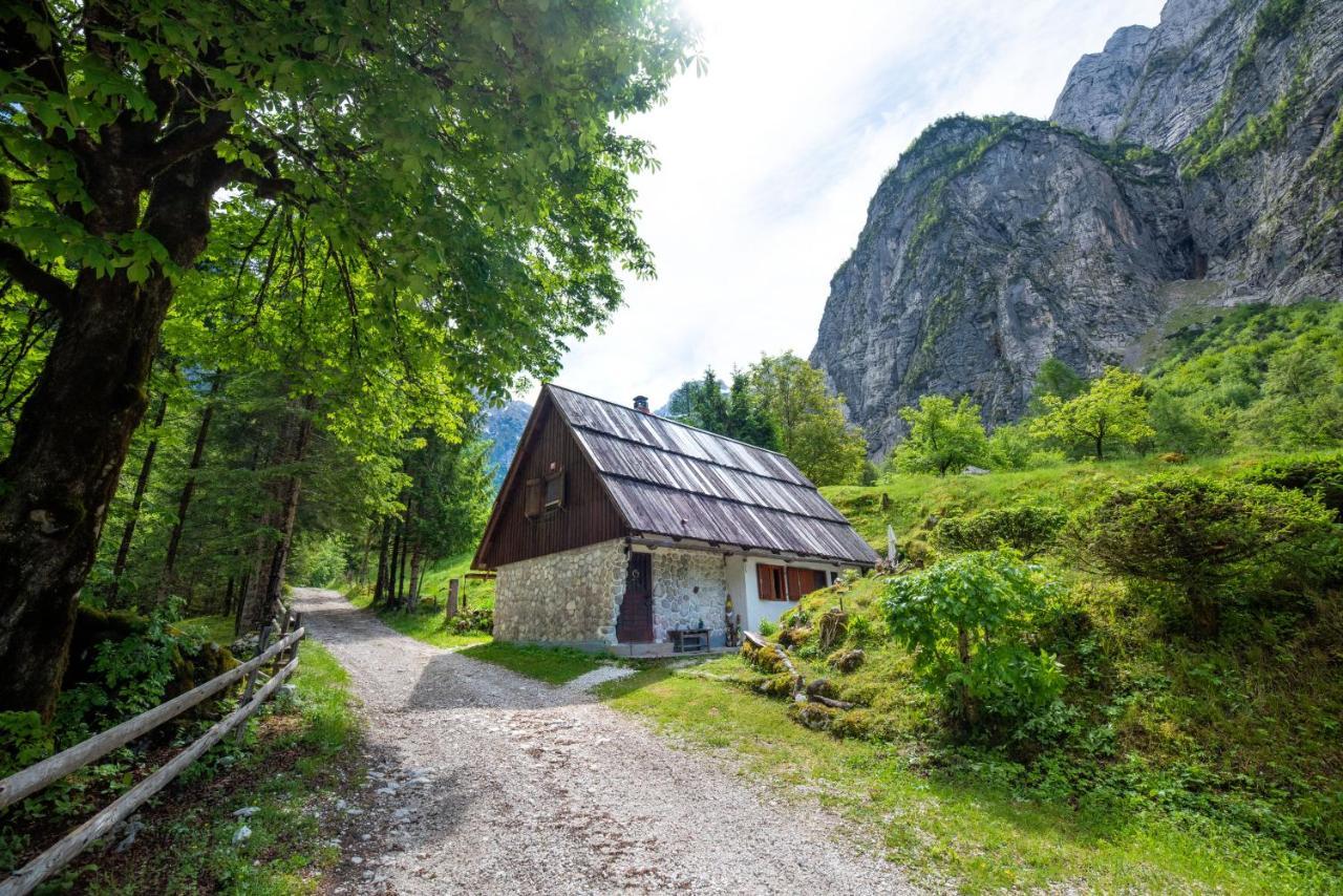 Fairy Tale House Villa Trenta Eksteriør billede
