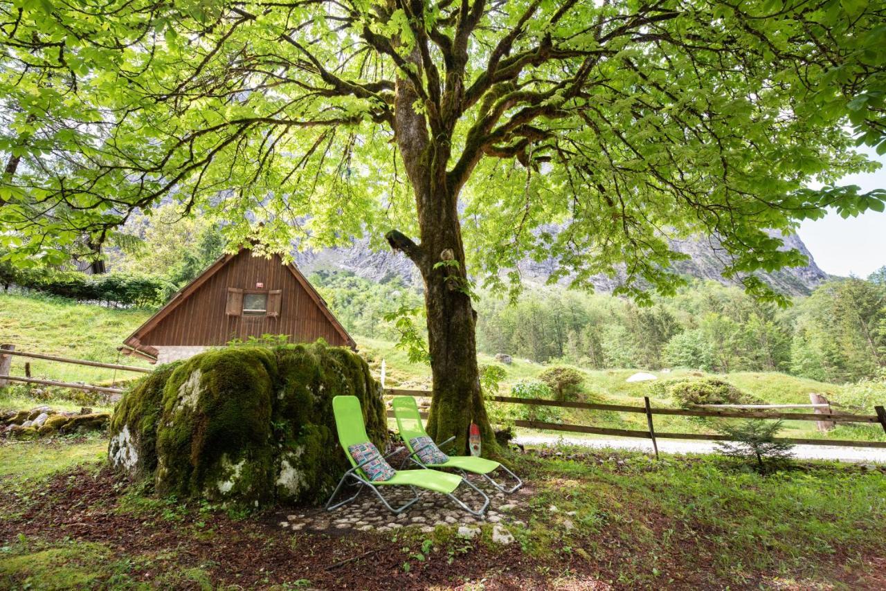 Fairy Tale House Villa Trenta Eksteriør billede